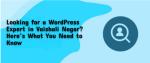 Looking for a WordPress Expert in Vaishali Nagar? Here’s What You Need to Know