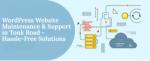 WordPress Website Maintenance & Support in Tonk Road - Hassle-Free Solutions