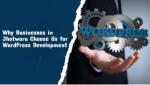 Why Businesses in Jhotwara Choose Us for WordPress Development