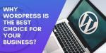 Why WordPress is the Best Choice for Your Business Website