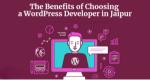 The Benefits of Choosing a WordPress Developer in Jaipur