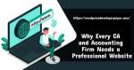 Why Every CA and Accounting Firm Needs a Professional Website
