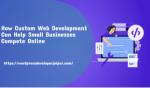 How Custom Web Development Can Help Small Businesses Compete Online - WordPress Developer Jaipur