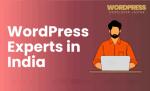 How Indian WordPress Experts Deliver Exceptional Results - WordPress Developer Jaipur