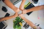 Unlock Innovation: Collaborating with Indian Tech Teams - WordPress Developer Jaipur