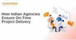 How Indian Agencies Ensure On‑Time Project Delivery - WordPress Developer Jaipur