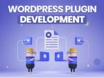 Hire India’s Best for Custom WordPress Plugin Development - WordPress Developer Jaipur