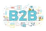 Custom Website Solutions for B2B Companies in India - WordPress Developer Jaipur