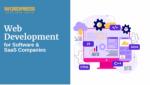Web Development for Software & SaaS Companies - WordPress Developer Jaipur