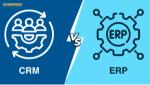 Build a CRM or ERP Company Website