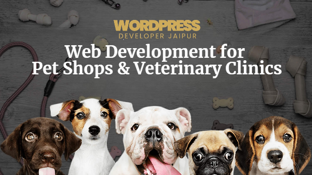 Web Development for Pet Shops & Veterinary Clinics