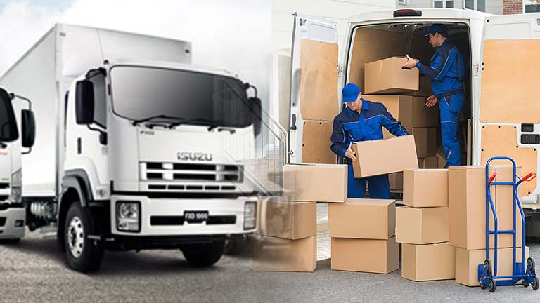 Website for Movers & Packers in Jaipur